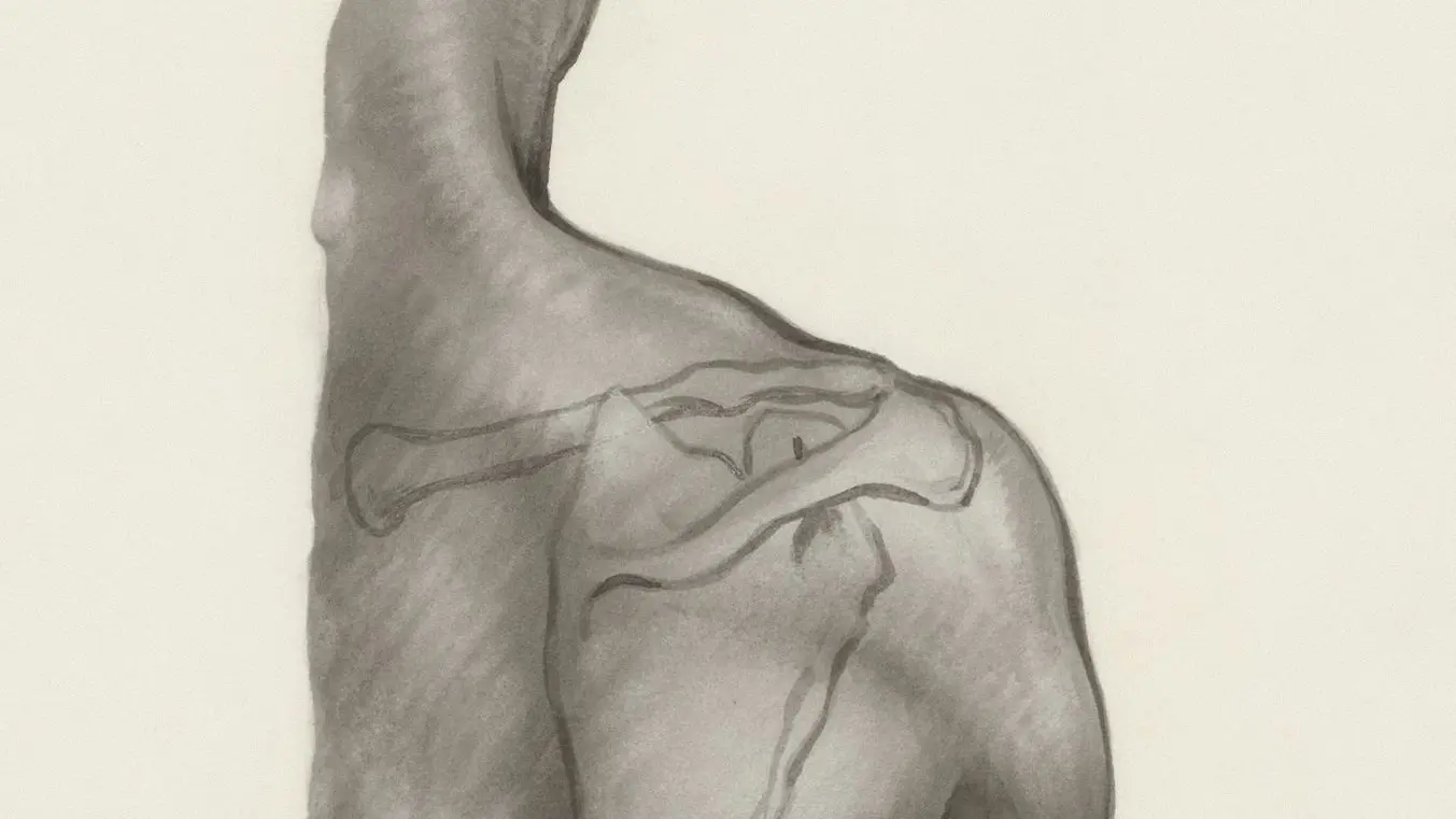 a black and white drawing of a man's torso